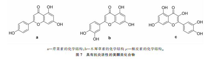 植提圖片26